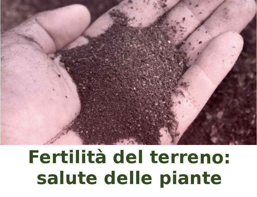Giornata tecnica su Fertilità del terreno e salute delle piante