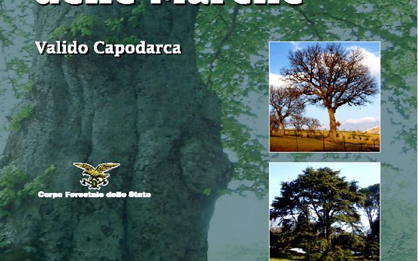 Valido Capodarca, una vita per gli alberi monumentali