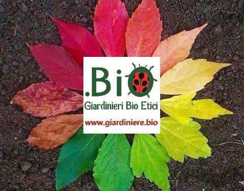 Giardinaggio convenzionale vs giardinaggio bioetico