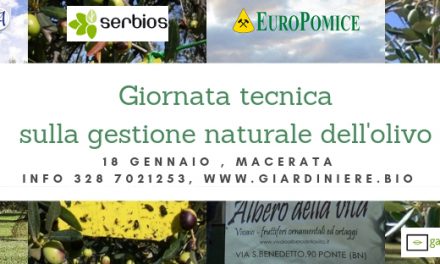 Gestione naturale dell’olivo: giornata tecnica a Macerata