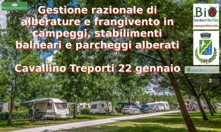 Gestione razionale delle alberature in campeggi e parcheggi a Cavallino Treporti (Venezia)