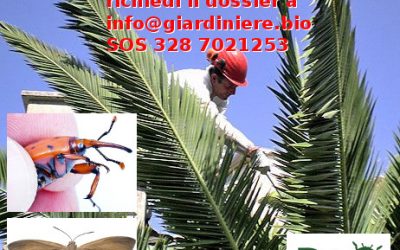 Campagna di informazione sulla difesa biologica della Palme da Paysandisia e Punteruolo Rosso